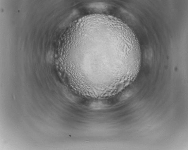 X0000060750177200511241712