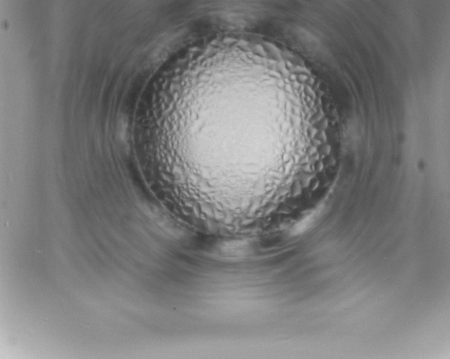 X0000060750178200511241712