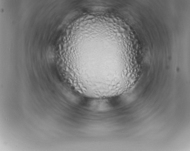 X0000060750179200511241712