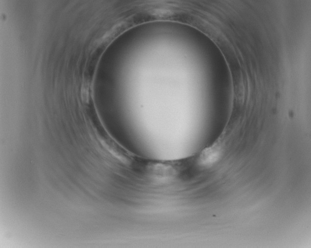 X0000060750180200511241712