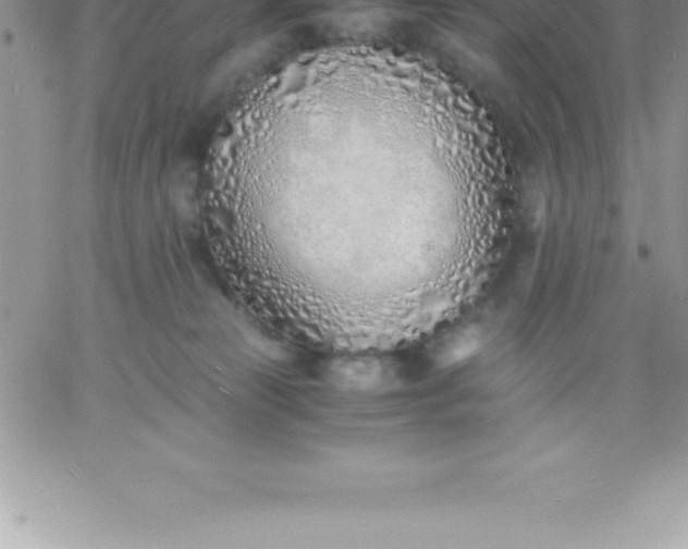 X0000060750181200511241712