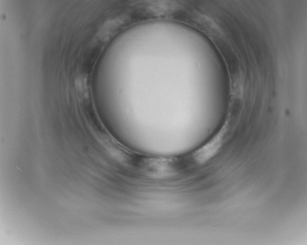 X0000060750182200511241712