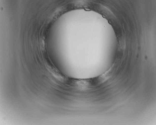 X0000060750183200511241712