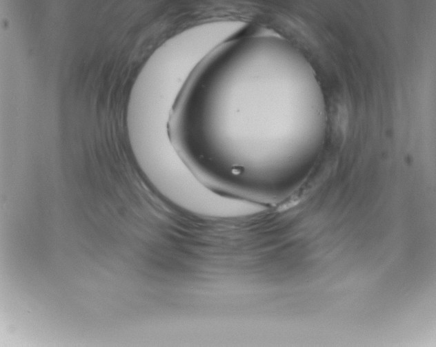 X0000060750185200511241712