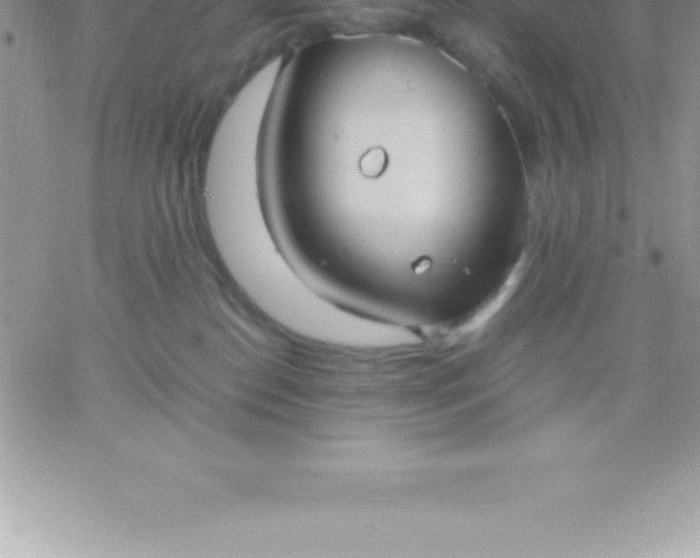 X0000060750186200511241712