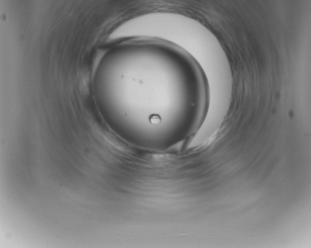 X0000060750188200511241712