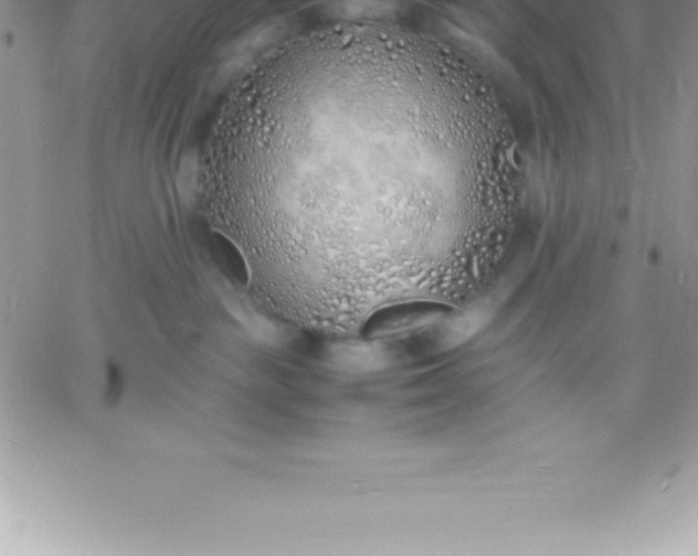 X0000060750189200511241712