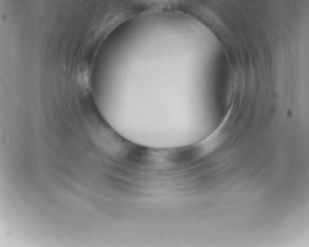 X0000060750190200511241712