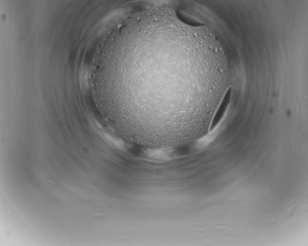 X0000060750191200511241712