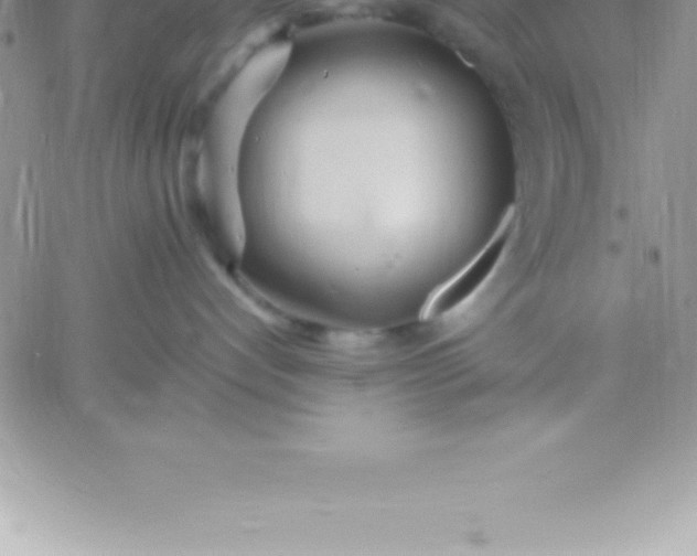 X0000060750192200511241712