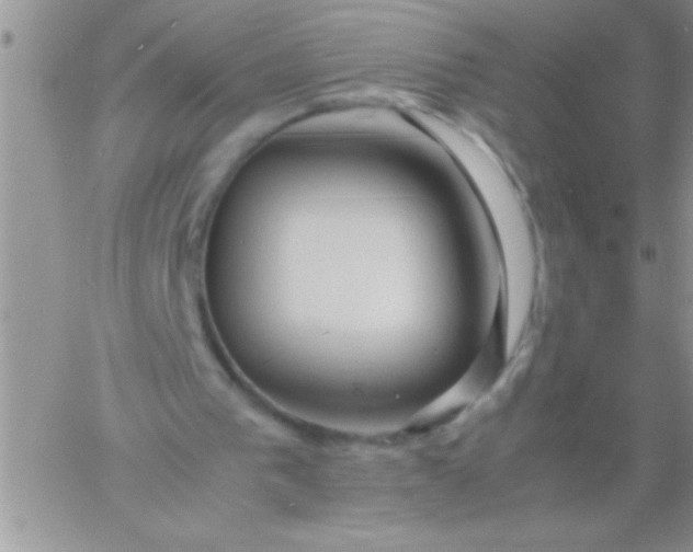 X0000060750193200511241712