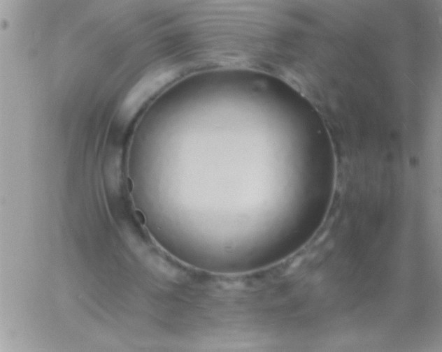 X0000060750194200511241712