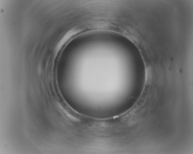 X0000060750195200511241712