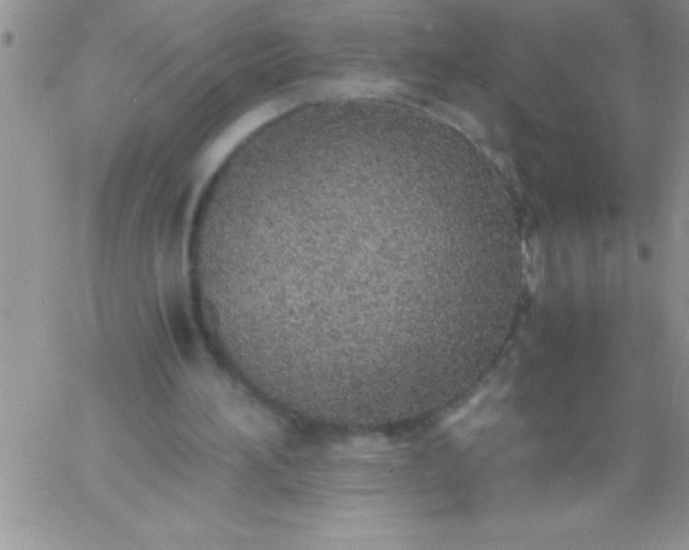 X0000060750196200511241712