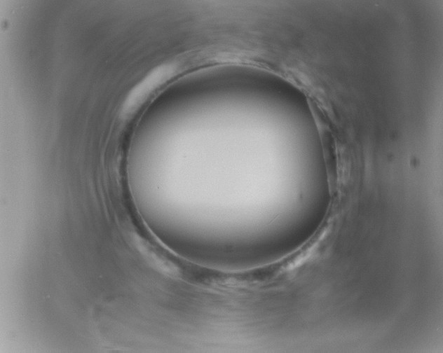 X0000060750197200511241712