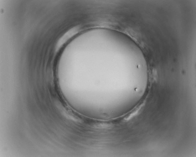 X0000060750198200511241712