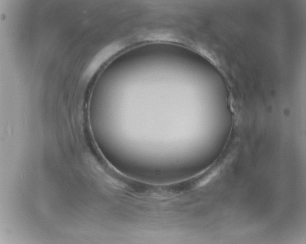 X0000060750199200511241712