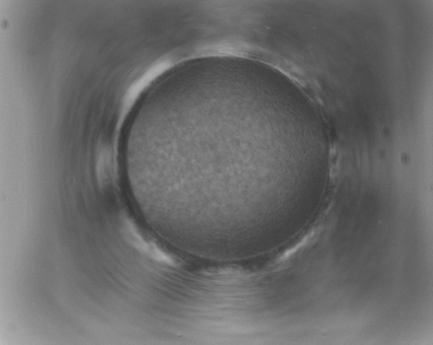 X0000060750200200511241712