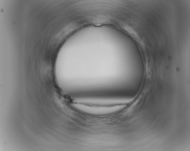 X0000060750201200511241712