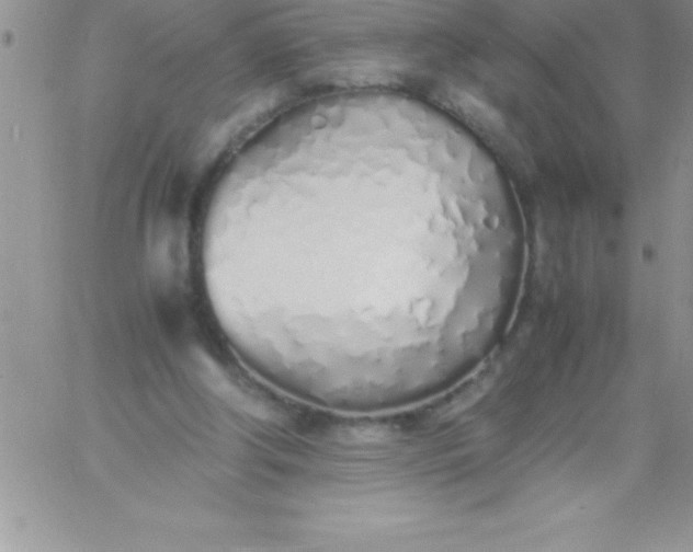 X0000060750202200511241712