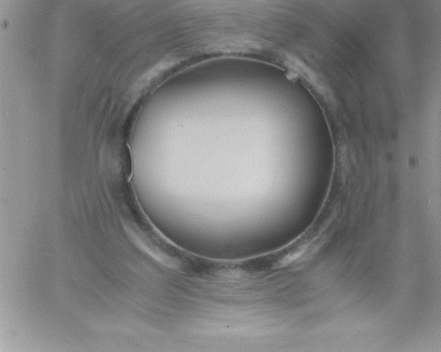 X0000060750203200511241711