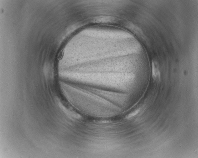 X0000060750204200511241711