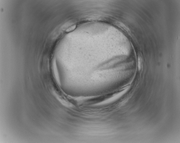 X0000060750205200511241711