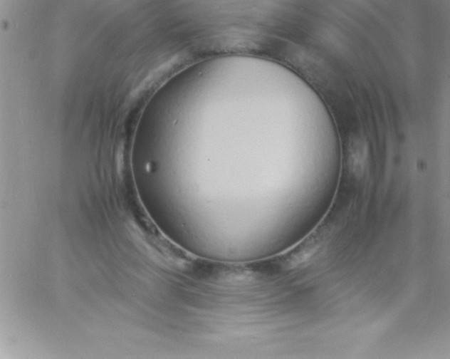 X0000060750206200511241711