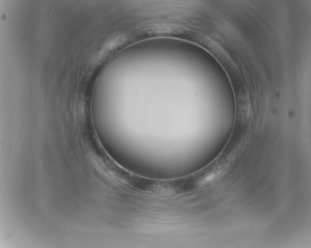 X0000060750207200511241711