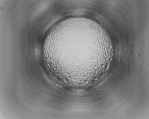 X0000060750208200511241711