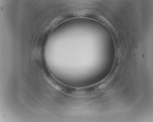 X0000060750209200511241711