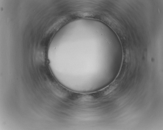 X0000060750210200511241711