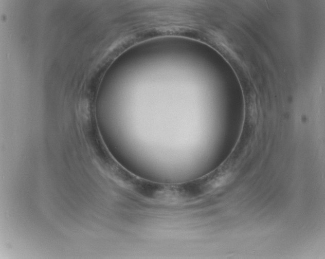 X0000060750211200511241711