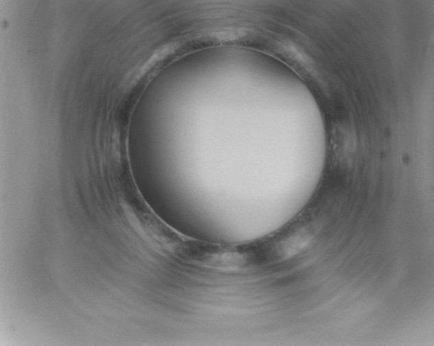 X0000060750212200511241711