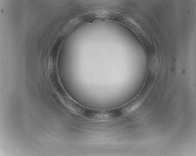 X0000060750213200511241711