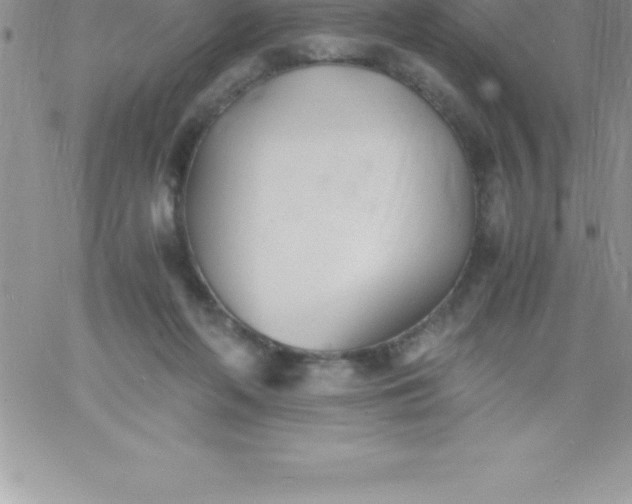 X0000060750214200511241711