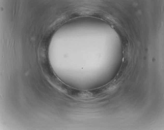 X0000060750215200511241711