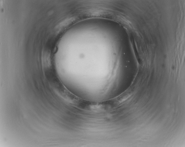 X0000060750216200511241711