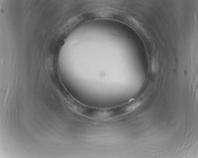 X0000060750217200511241711