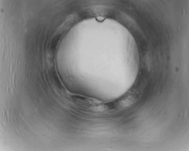 X0000060750218200511241711