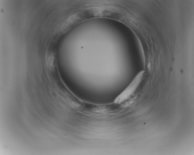 X0000060750219200511241711