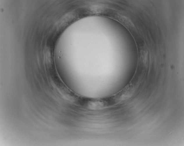 X0000060750220200511241711