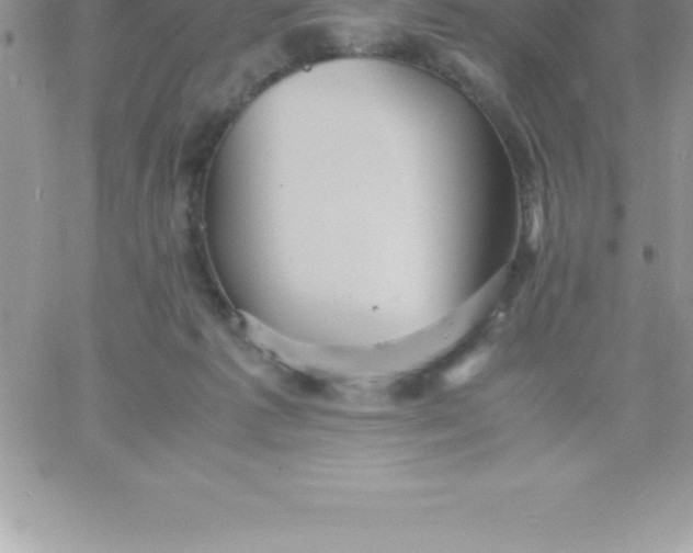 X0000060750221200511241711