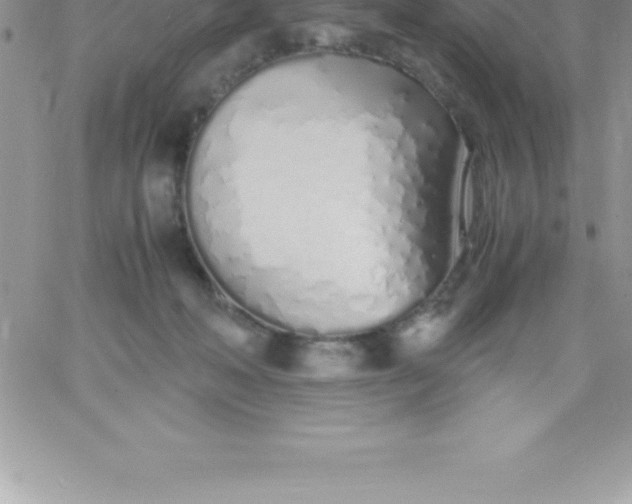 X0000060750222200511241711