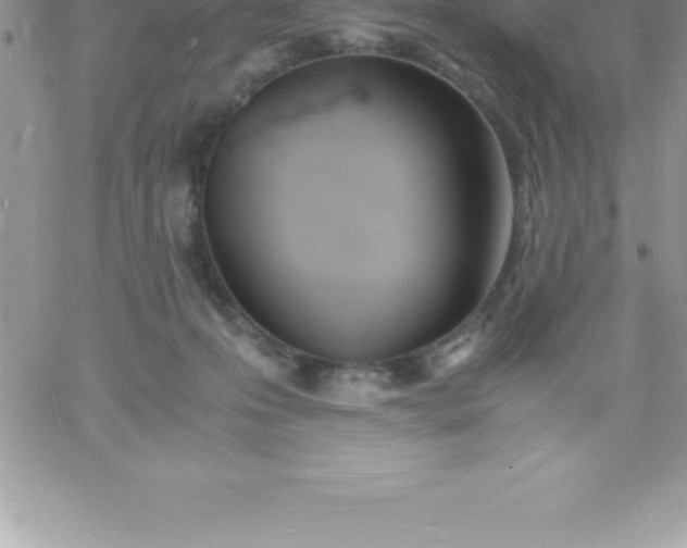 X0000060750223200511241711