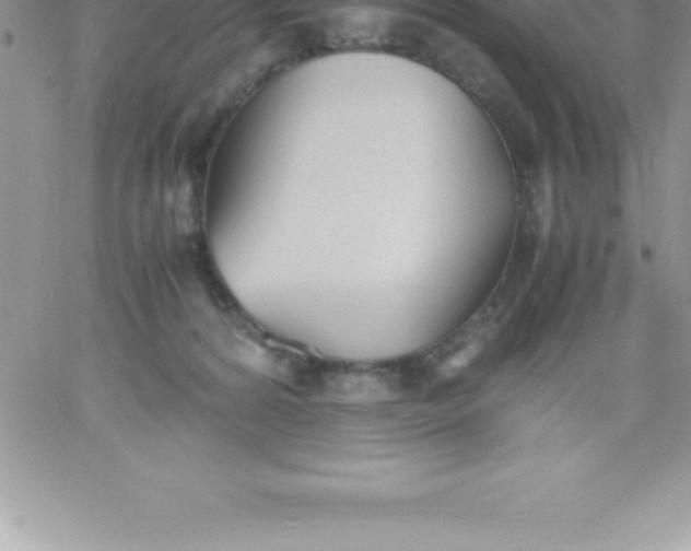 X0000060750224200511241711