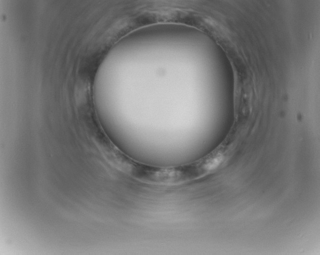 X0000060750225200511241711