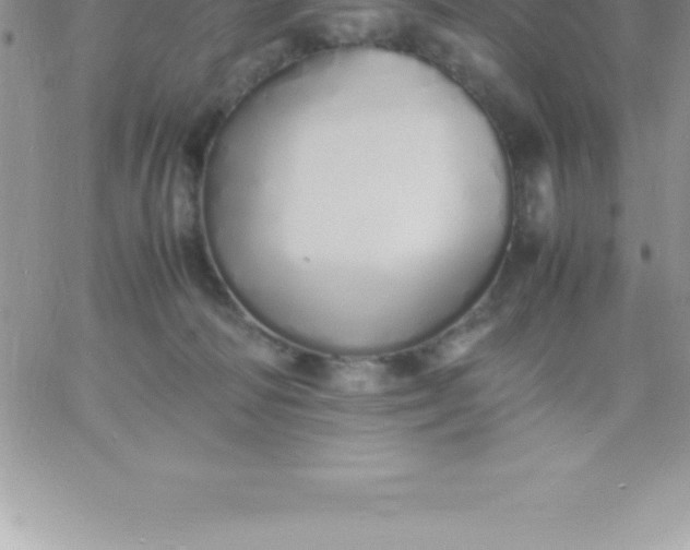 X0000060750226200511241711