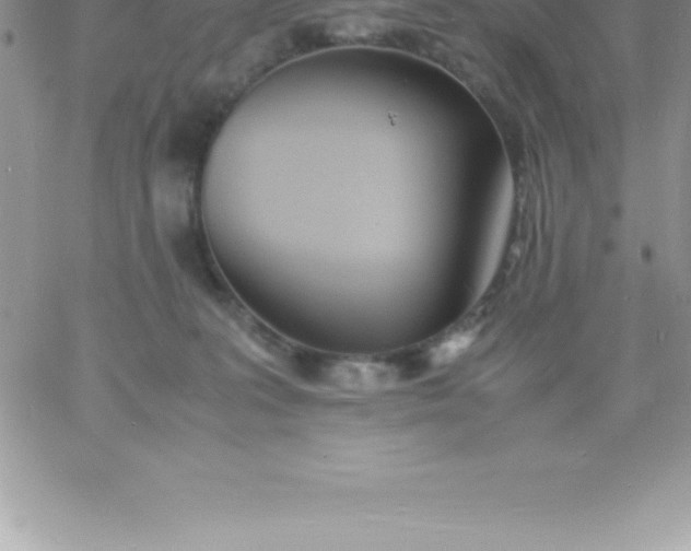 X0000060750227200511241711