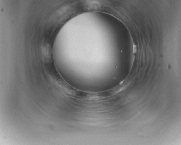 X0000060750228200511241711